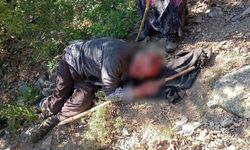 Kuşburnu toplarken 30 metreden yuvarlanıp yaralandı