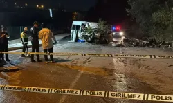Minibüs trafik tabelası, elektrik direği ve ağaca çarptı: 6 yaralı
