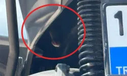 Motosikletin içinden yılan çıktı!
