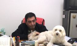Mustafa Ünal kimdir, neden öldü? Antalya’da acı olay