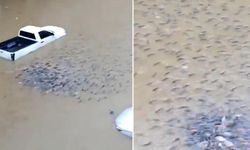 Sular Altında Kalan Sokaklarda Balıklar Yüzüyor, 23 Kişi Öldü