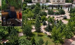 Üniversite hocası parkta uygunsuz yakalandı