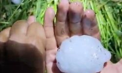 Yumruk büyüklüğünde dolu yağışı tarım arazilerine zarar verdi