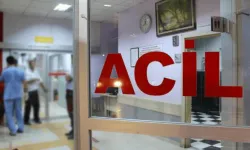 Boru çiçeği yiyen 3 çocuk zehirlenerek hastaneye kaldırıldı
