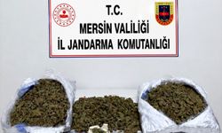 Mersin'de Yasa Dışı Madde Operasyonu: 2 Şüpheli Tutuklandı