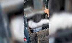 Ankara'da Yolcu Otobüsünde 5 Düzensiz Göçmen Yakalandı