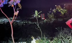Artvin'de Kontrolden Çıkan TIR Kayalıklara Takıldı