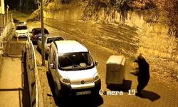 Kızılcahamam'da Ayının Çöp Konteyneri ile Oyunu Kamerada
