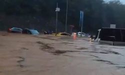 Beykoz'da sağanakla birlikte göle dönen yollarda, araçlarında mahsur kaldılar