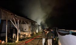 Bursa'da hayvan çiftliğinde çıkan söndürüldü