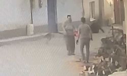 Bursa'da Motorlu Testereyle Korkutulan Adam Düştü