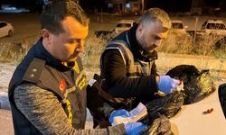 Denizli'de polis kılığında dolandırıcılık yapan şüpheliler Kütahya'da yakalandı