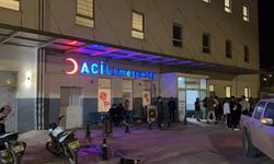 Hatay'da Otomobilin Çarptığı Anne Hayatını Kaybetti