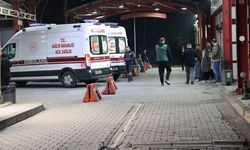 İzmir'de Kavgada Kulağı Isırılan Kişi Hastaneye Kaldırıldı