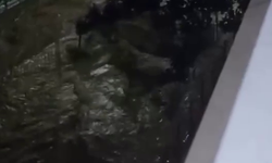 Kocaeli'de Sağanak Su Baskınlarına Yol Açtı