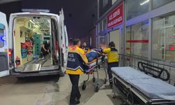 Kozan'da otomobil kamyonete çarptı: 2 yaralı