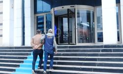 Tatvan'da FETÖ Operasyonunda 4 Şüpheliden 1'i Tutuklandı