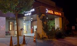 Tunceli'de Otomobilin Çarptığı Yaya Hayatını Kaybetti