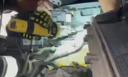 Arsuz'da aracın motoruna sıkışan kedi kurtarıldı
