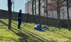 Çimenlik alanda şüpheli ölüm! Yanına gidenler ağzını görünce şoke oldu