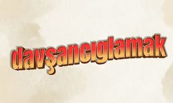 Elbistan’da çocuk gülüşünün bir adı davşancıglamak