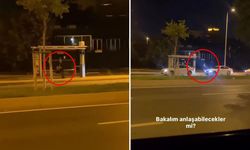 Eskort kadınlar şehrin göbeğinde fuh*ş pazarlığı yaptılar
