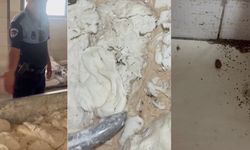 Fırında mide bulandıran görüntüler: Hamam böceği ve sigara izmariti...