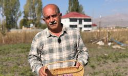 Esnaflığı bıraktı, kilosu 1 milyon lira olan dünyanın en pahalı baharatını yetiştirdi