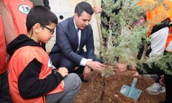 Kahramanmaraş Elbistan'da Cumhuriyet'in 103. yılına özel 103 fidan dikildi