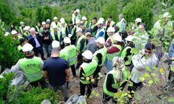 Kahramanmaraş'ta 450 hektarlık defne seferberliği! Andırın'da çalışmalar başladı