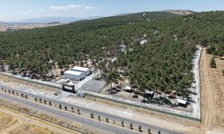 Kahramanmaraş’ta 5 binin üzerinde sahipsiz hayvana güvenli yaşam alanı