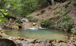 Kahramanmaraş'ta ağaçların arasında gizlenen kanyon! Fındıklı Dere doğaseverleri bekliyor