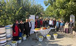Kahramanmaraş’ta Ayva Hasadı İçin Üreticilere Ekipman Dağıtıldı