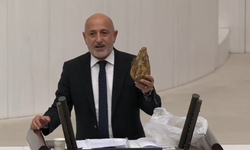 Kahramanmaraş’ta Çiftçi Ne Kazanıyor? Ali Öztunç TBMM’de Rakamları Açıkladı