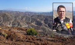 Kahramanmaraş’ta Yanan Ormanlar İçin 1 Milyon Fidan Dikilecek