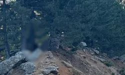 Kahramanmaraş'ta yol kenarında 24 yaşındaki gencin cansız bedeni bulundu