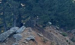 Kahramanmaraş'ta yol kenarında 24 yaşındaki gencin cansız bedeni bulundu