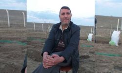 Kavak ağacının altında kalan Beyazıt Yeşilöz hastanede öldü
