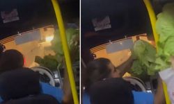 Kırmızı ışıkta bekleyen dolmuş şoförü yolculara marul ısmarladı