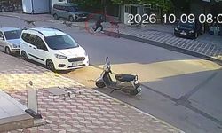 Okul Yolunda Sokak Köpeklerinin Saldırısına Uğrayan Kız Çocuğu Yaralandı