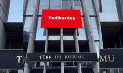 TDK açıkladı! Kahramanmaraş’ta da kullanılan “Yedikardeş” ne demek?