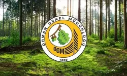 Orman Genel Müdürlüğü personel alımı yapacak: İşte detaylar