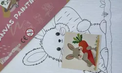 Ticaret Bakanlığı, kimyasal risk taşıyan boya setini toplattı