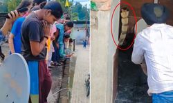 Tuvalete giren ev sahibi neye uğradığını şaşırdı! Klozetten kobra çıktı