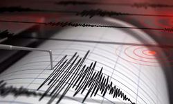 Vanuatu Açıklarında 6,9 ve 6,3 Büyüklüğünde İki Deprem