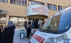 Yaprak sarması yiyen 12 öğrenci zehirlenme şüphesiyle hastanelik oldu