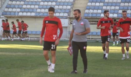 Aslan Yardımcılarla Çalışıyor
