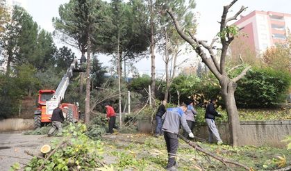 Dulkadiroğlu’nda Park Ve Bahçeler Kışa Hazırlanıyor