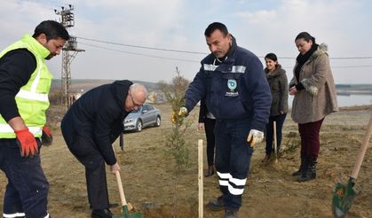 Türkmenli Göleti havzasına bin 200 fidan dikildi