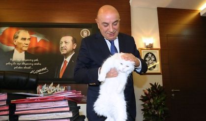 İşitme engelli Ankara kedisi Başkan Altınok’un koruması altında